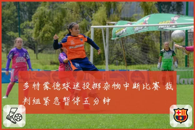 多特蒙德球迷投掷杂物中断比赛 裁判组紧急暂停五分钟