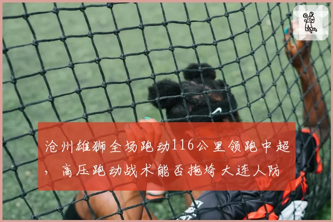 沧州雄狮全场跑动116公里领跑中超，高压跑动战术能否拖垮大连人防线？